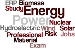 Energy Risk Professional summary